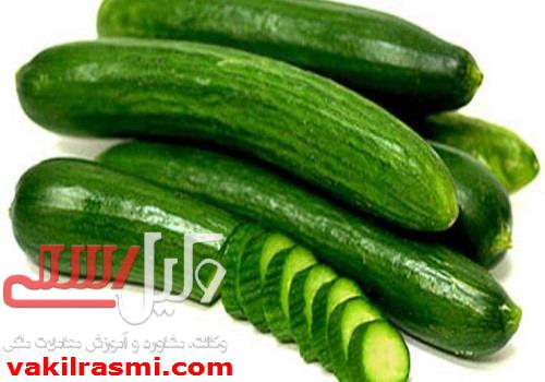 بررسی فواید خیار در قراردادهای ملکی